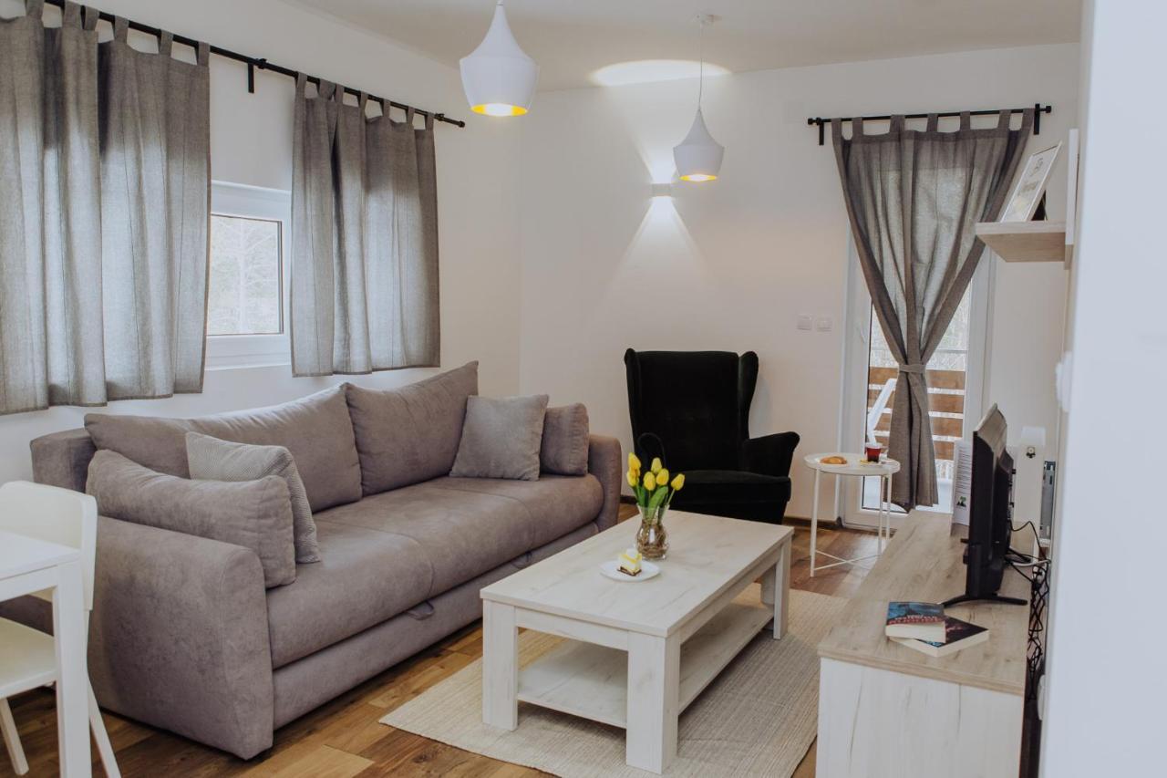 Planinsko Srce Apartman Divčibare Kültér fotó